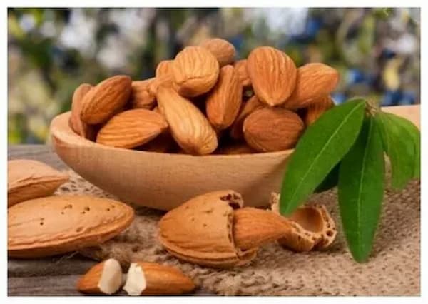 تصویر 5 از قیمت بادام سنگی درشت + خرید باور نکردنی